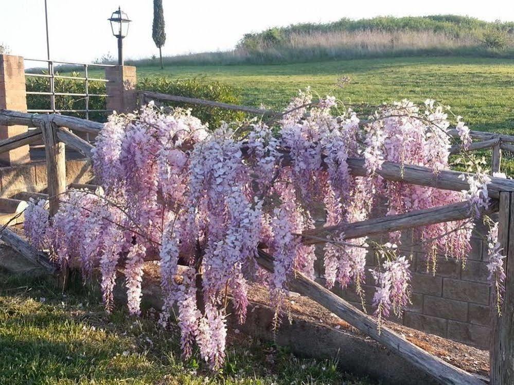 Agriturismo Ragoncino Lajatico Luaran gambar